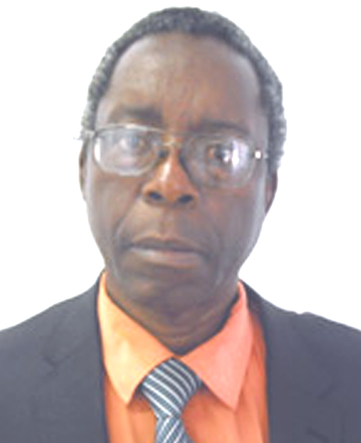 Prof. Shadreck Dube